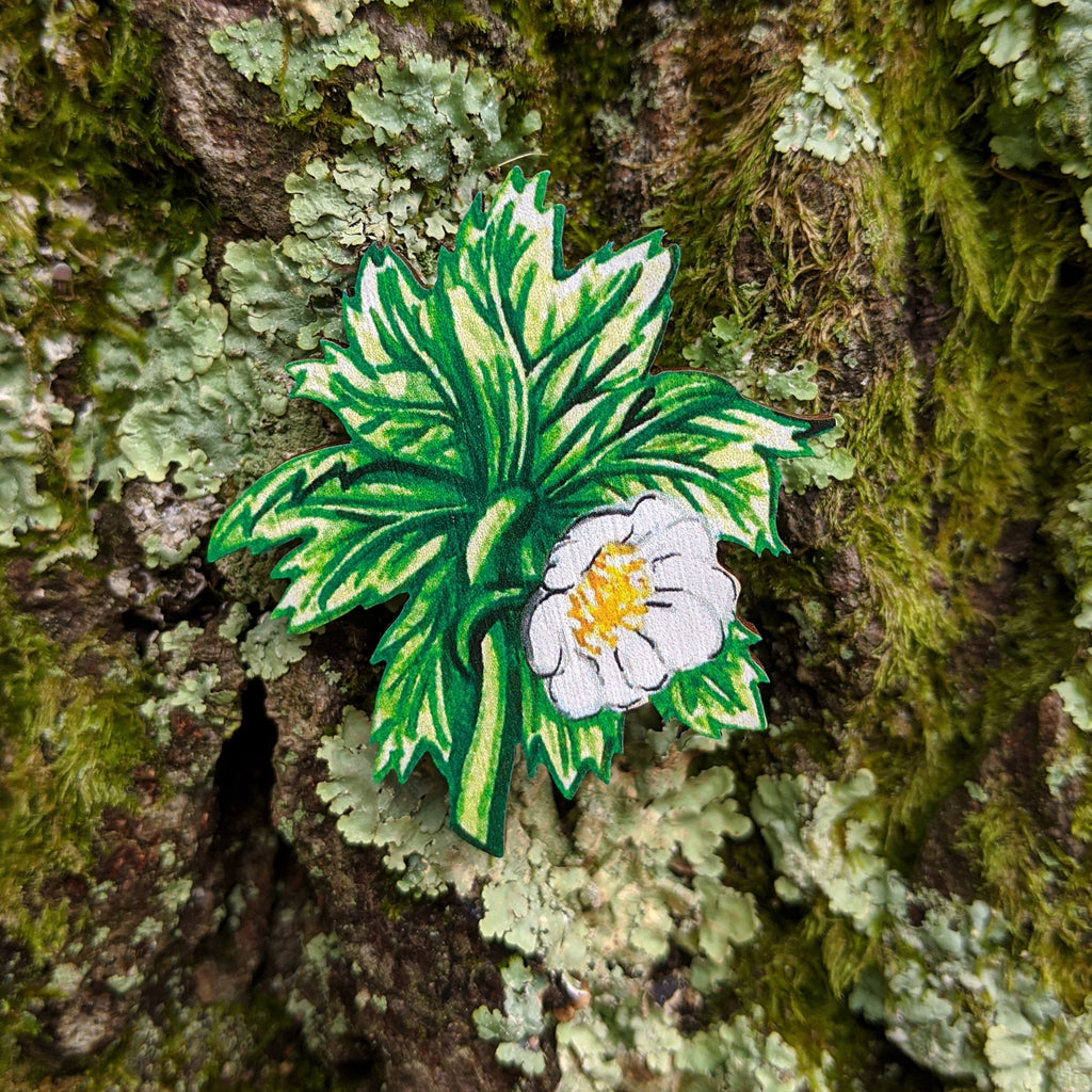 May Apple Brooch