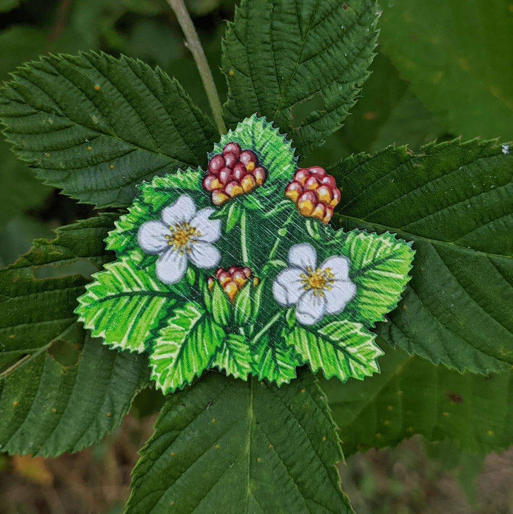 Cloudberry brooch