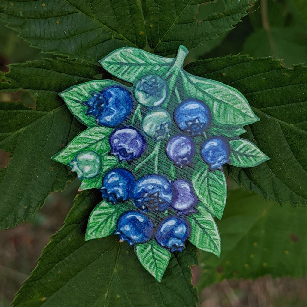 Bilberries brooch