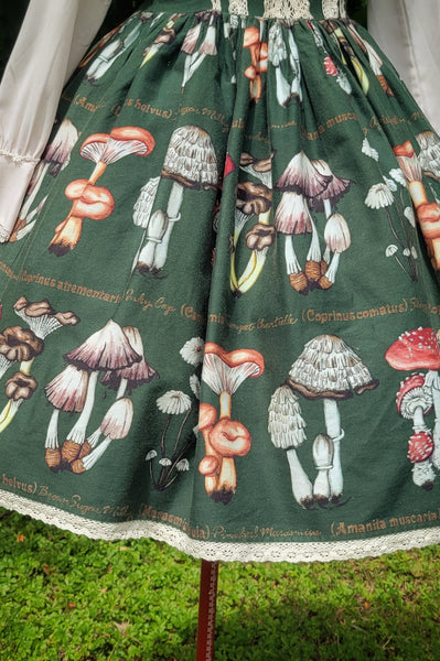 Mycologist's Notebook Jumperskirt