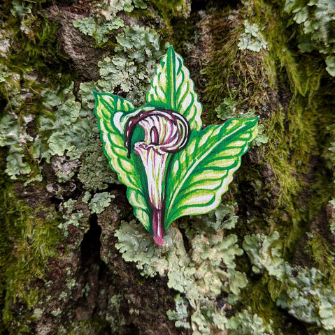 Jack-in-the-pulpit Brooch