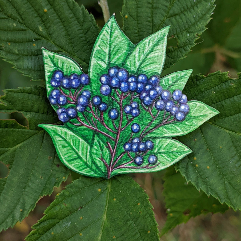 Elderberry brooch